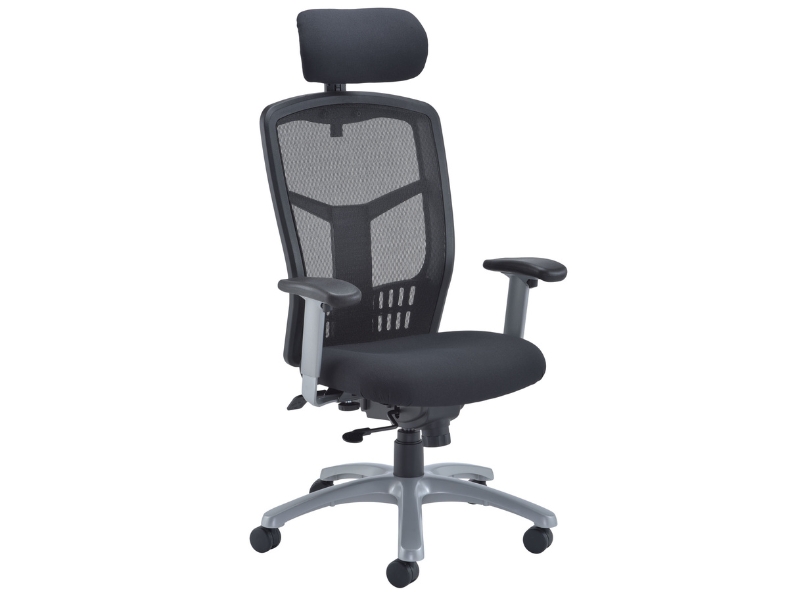 Ashvale Ashbourne Executive Office Chair