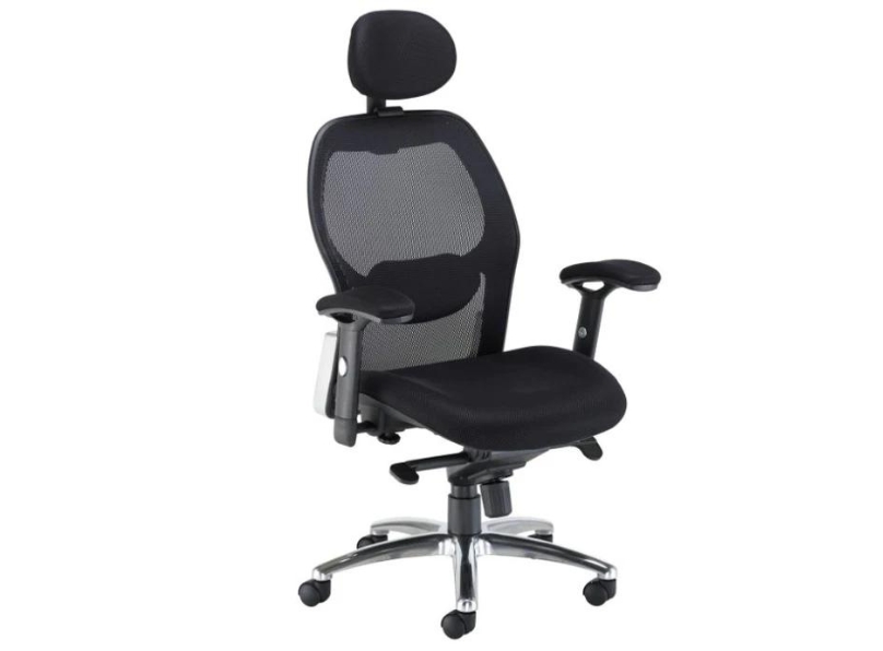 Ashvale Ergo Plus Mesh Office Chair