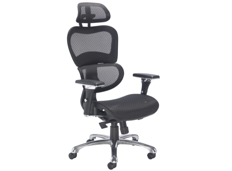 Ashvale Saturn Ergo Office Chair