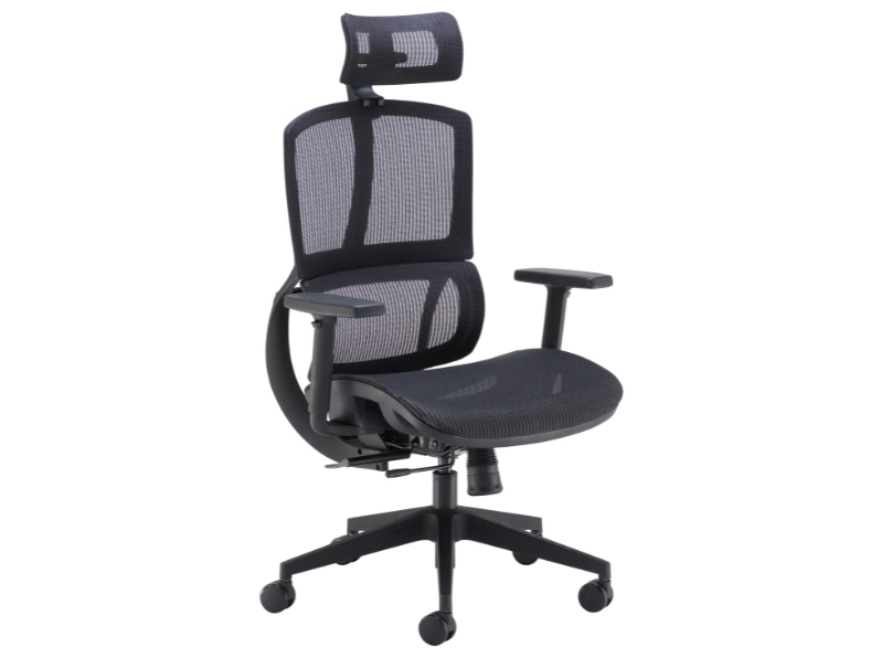 Ashvale Darley Ergo Office Chair