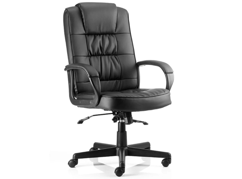 Ashvale Hyde Executive Office Chair