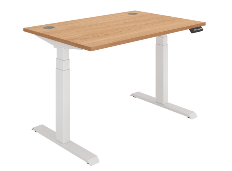 Ashvale Harrow Dual Motor Standing Desk
