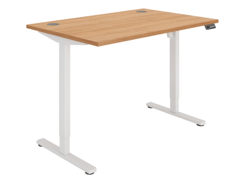 Ashvale Harrow Single Motor Standing Desk