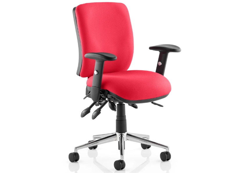 Ashvale Portland Medium Back Posture Office Chair