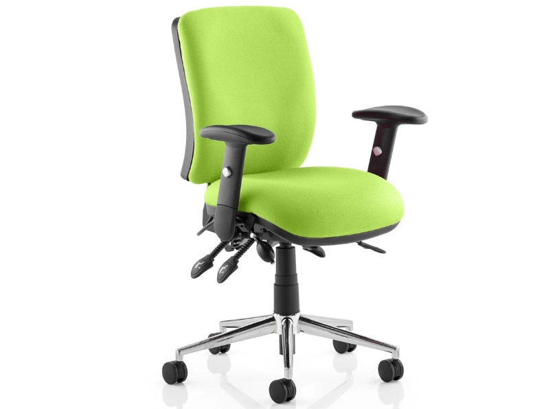 Ashvale Portland Medium Back Posture Office Chair