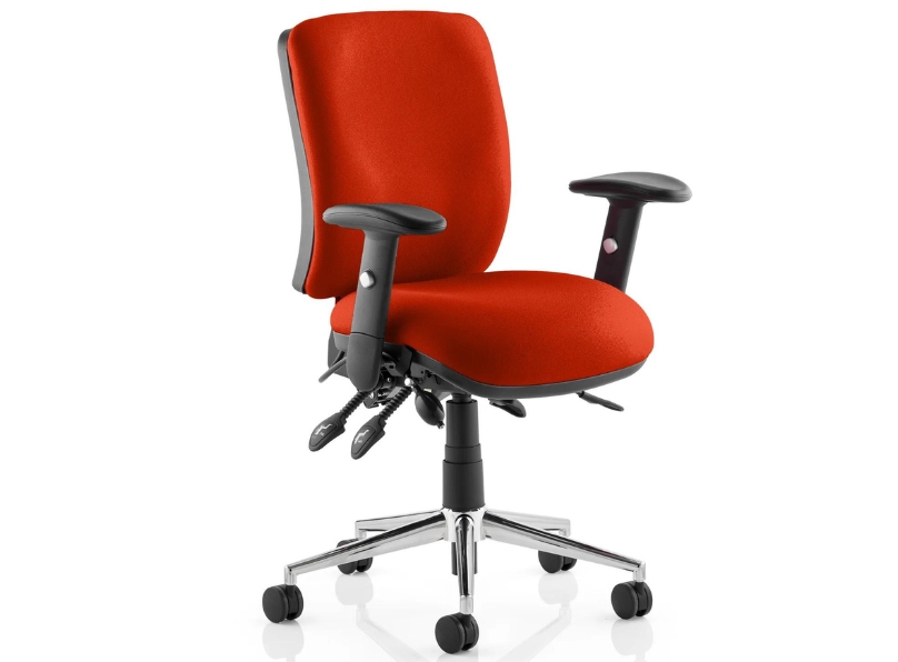 Ashvale Portland Medium Back Posture Office Chair