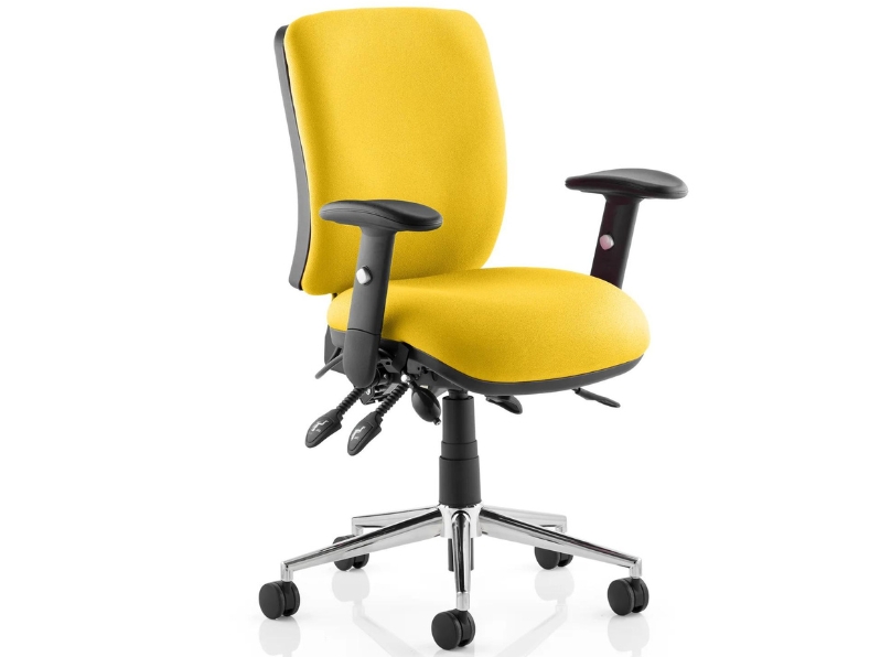 Ashvale Portland Medium Back Posture Office Chair