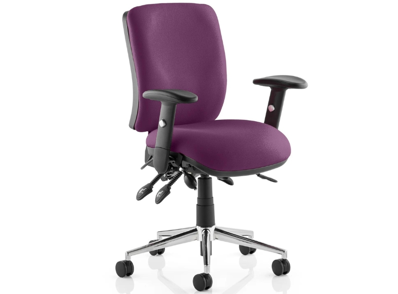 Ashvale Portland Medium Back Posture Office Chair