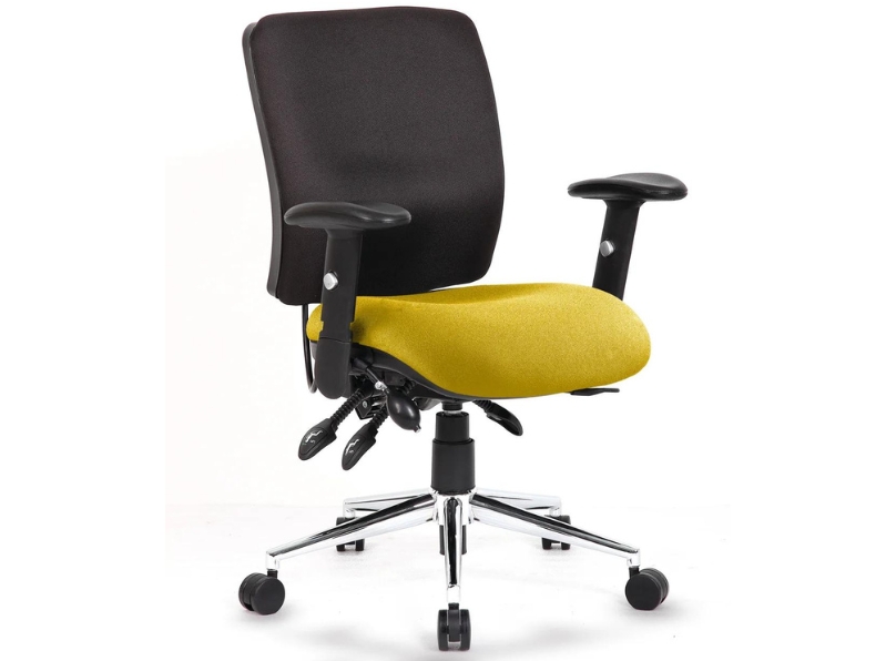 Ashvale Portland Medium Back Posture Office Chair