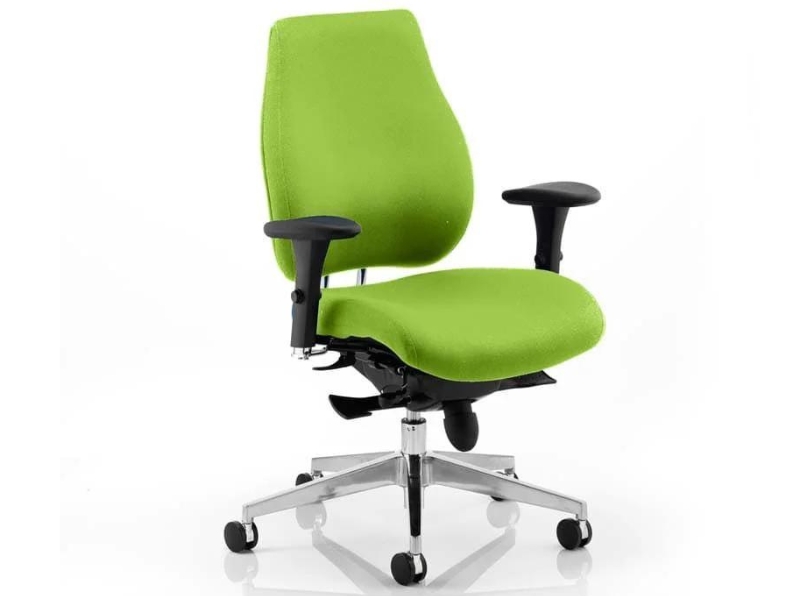 Ashvale Portland Plus Posture Office Chair