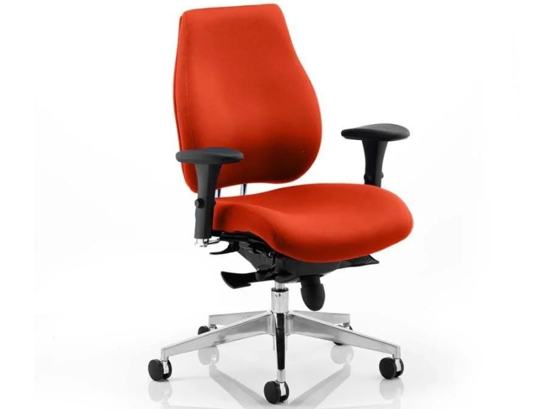 Ashvale Portland Plus Posture Office Chair