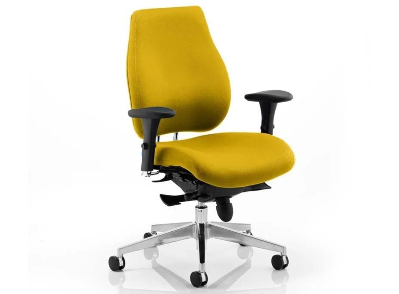 Ashvale Portland Plus Posture Office Chair