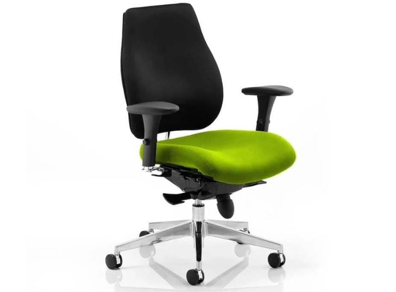 Ashvale Portland Plus Posture Office Chair