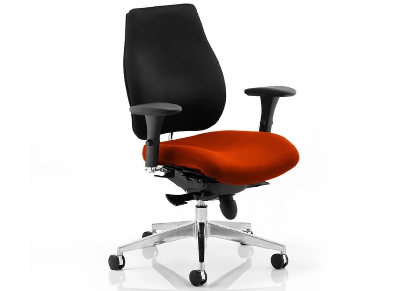 Ashvale Portland Plus Posture Office Chair