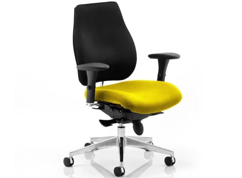 Ashvale Portland Plus Posture Office Chair