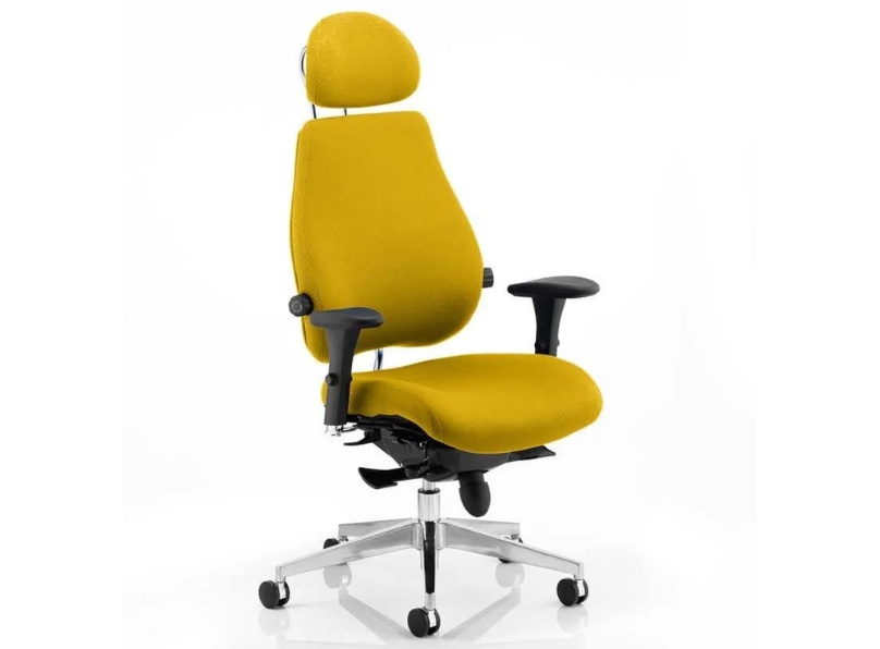 Ashvale Portland Plus Posture Office Chair