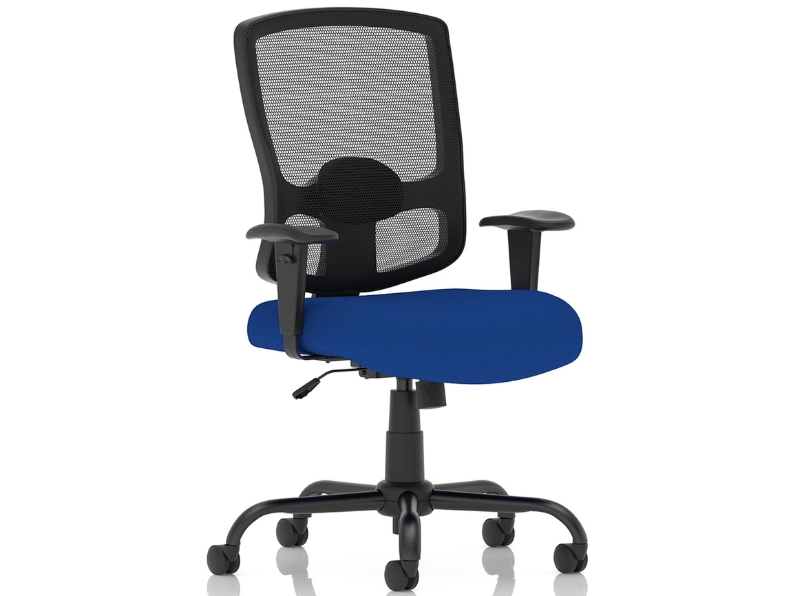 Ashvale Preesall Plus Mesh Back Office Chair