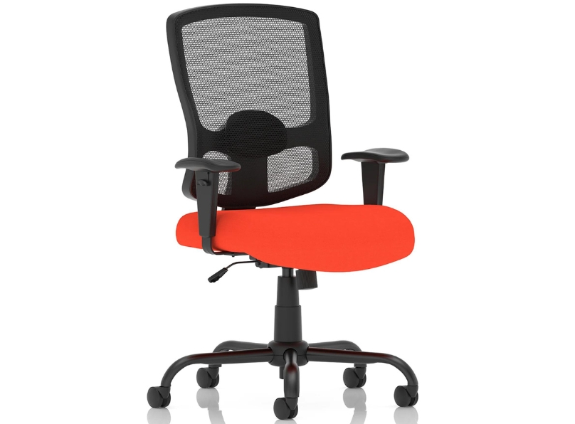 Ashvale Preesall Plus Mesh Back Office Chair