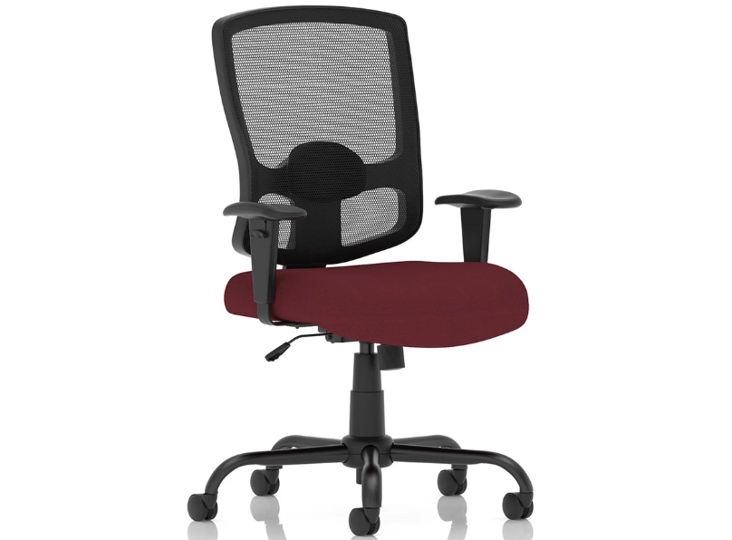Ashvale Preesall Plus Mesh Back Office Chair