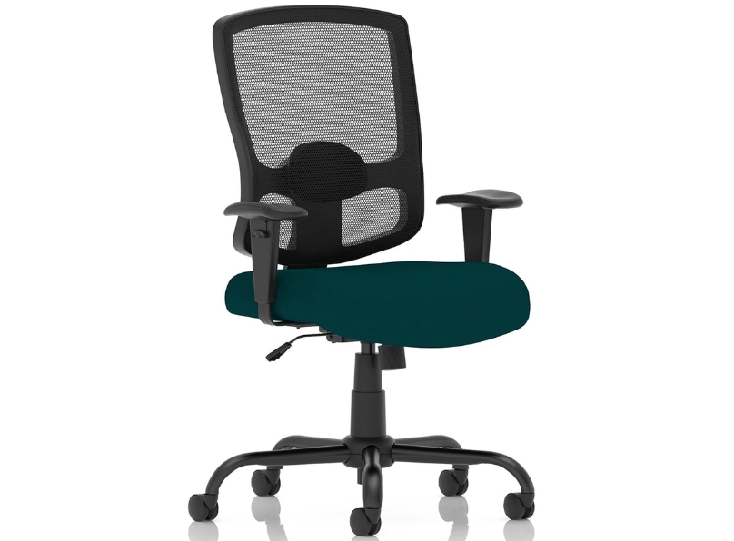Ashvale Preesall Plus Mesh Back Office Chair