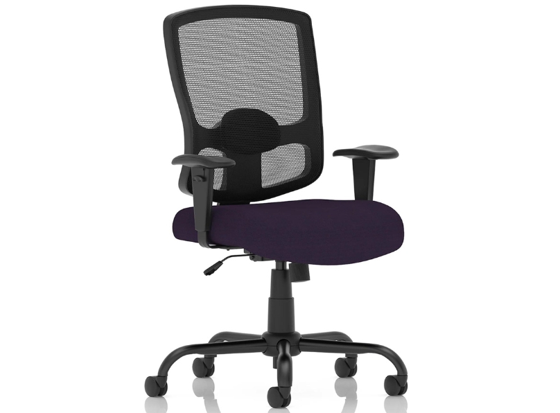 Ashvale Preesall Plus Mesh Back Office Chair