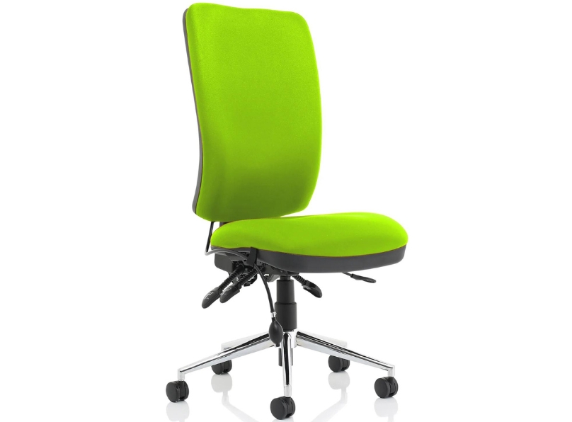 Ashvale Portland High Back Posture Office Chair