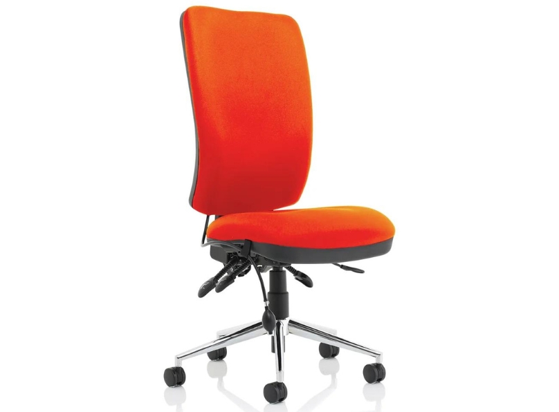Ashvale Portland High Back Posture Office Chair