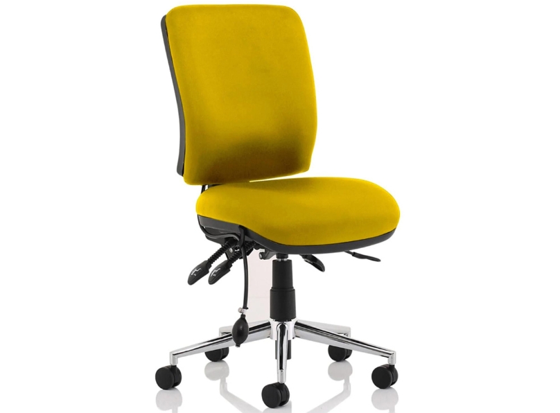 Ashvale Portland Medium Back Posture Office Chair