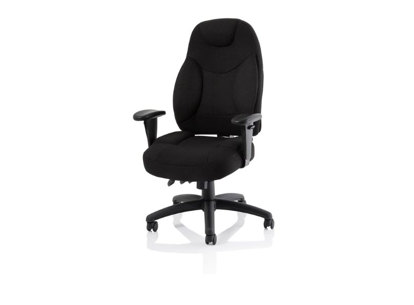 Ashvale Seahill Ergo Executive Office Chair