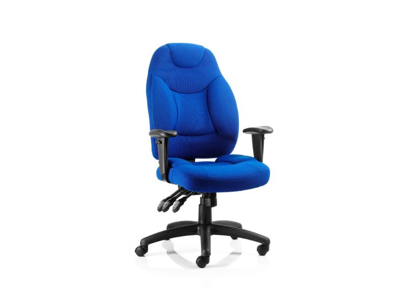 Ashvale Seahill Ergo Executive Office Chair