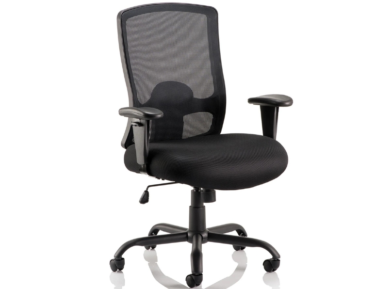 Ashvale Preesall Plus Mesh Back Office Chair