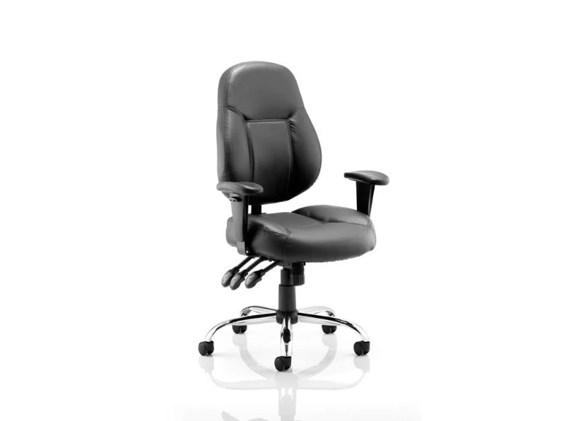 Ashvale Selby High Back Office Chair