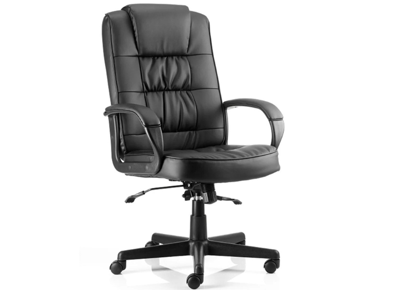 Ashvale Hyde Executive Office Chair