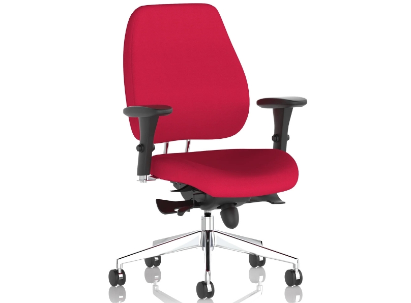 Ashvale Portland Plus Posture Office Chair
