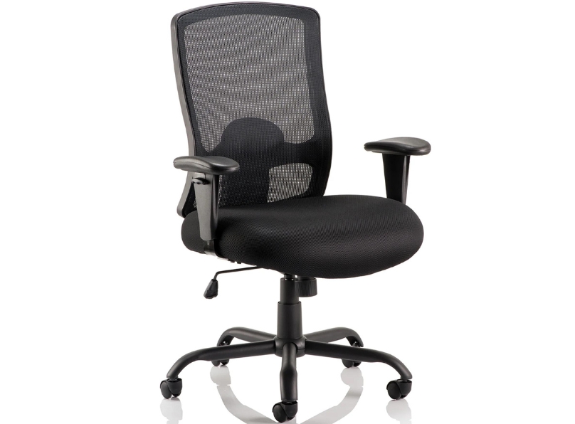 Ashvale Preesall Plus Mesh Back Office Chair